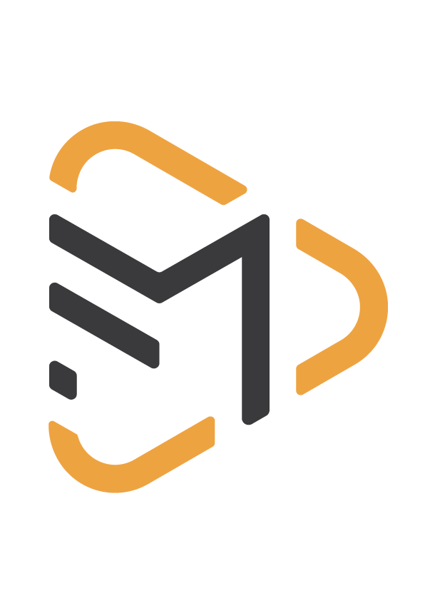 FLASH MEDIA Logo